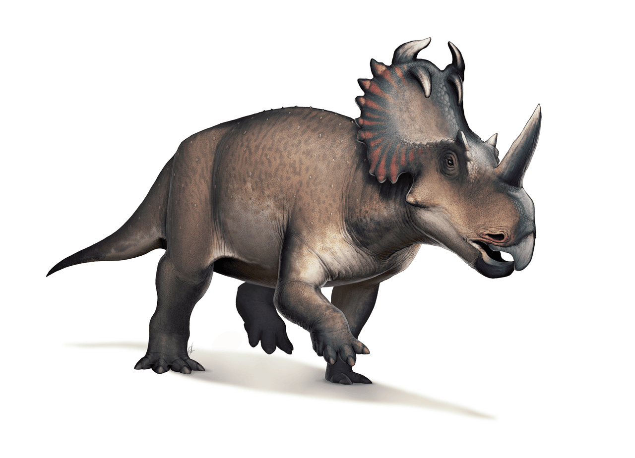 1280px-Centrosaurus.png