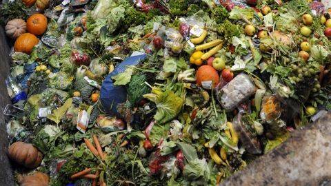 130110183208-food-waste-france.jpg