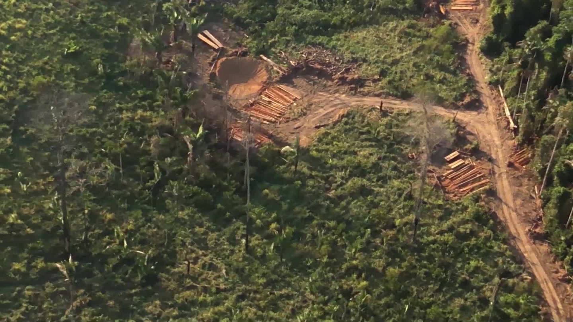 190903224544-deforestacion-amazonas-brasil-selva-mineria-furtiva-ilegal-incendios-pkg-francho-baron-00003913.jpg