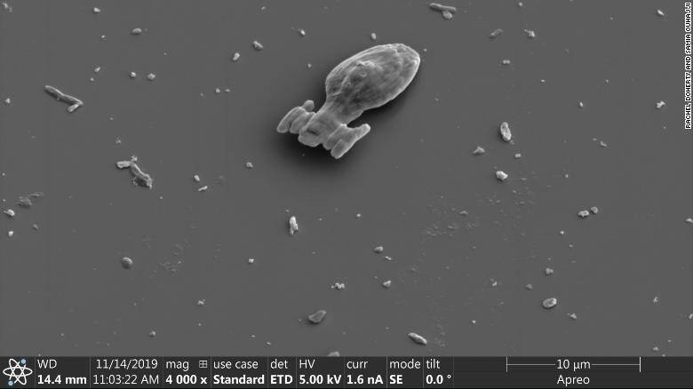 201107161424-01-star-trek-microscopic-spaceship-exlarge-169.jpg