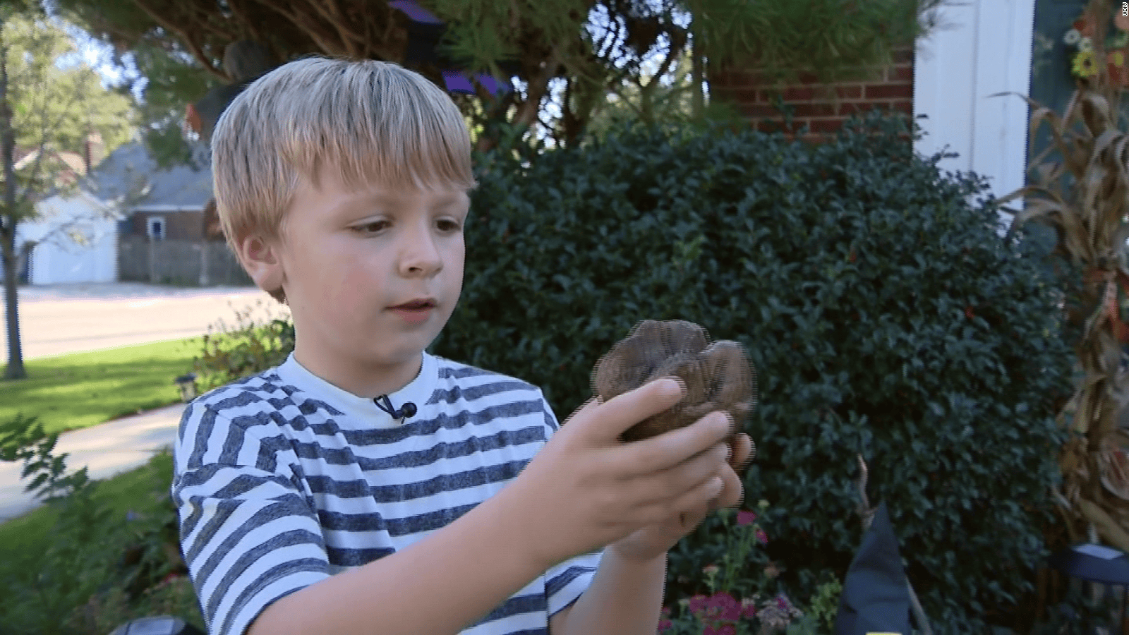 211004154458-six-year-old-boy-mastodon-tooth-discovery-wdiv-vpx-00004008-full-169.png