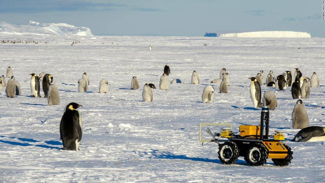 220428121309-04-emperor-penguins-antarctica-super-169.jpg