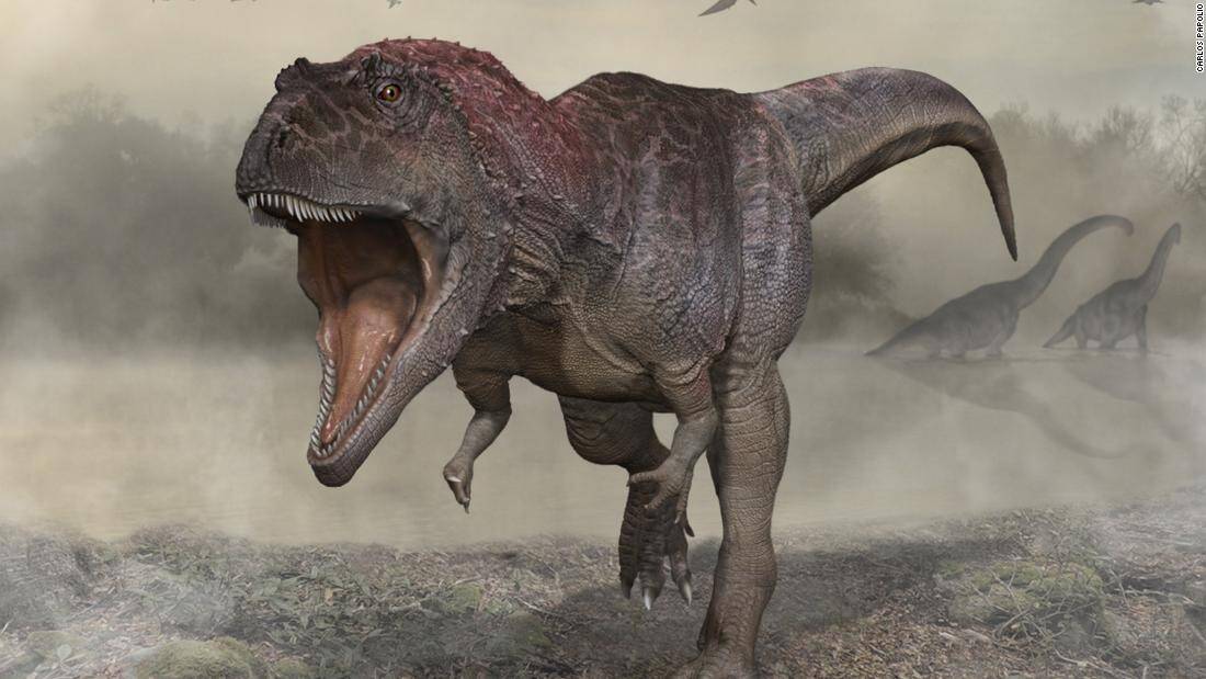 220705090847-03-meraxes-gigas-dinosaur-argentina-super-169.jpg