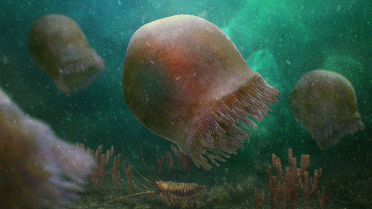 230802101947-01-oldest-jellyfish-illo-1.jpg