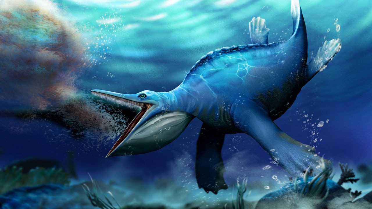 230808095358-01-ancient-marine-reptile-illo.jpg