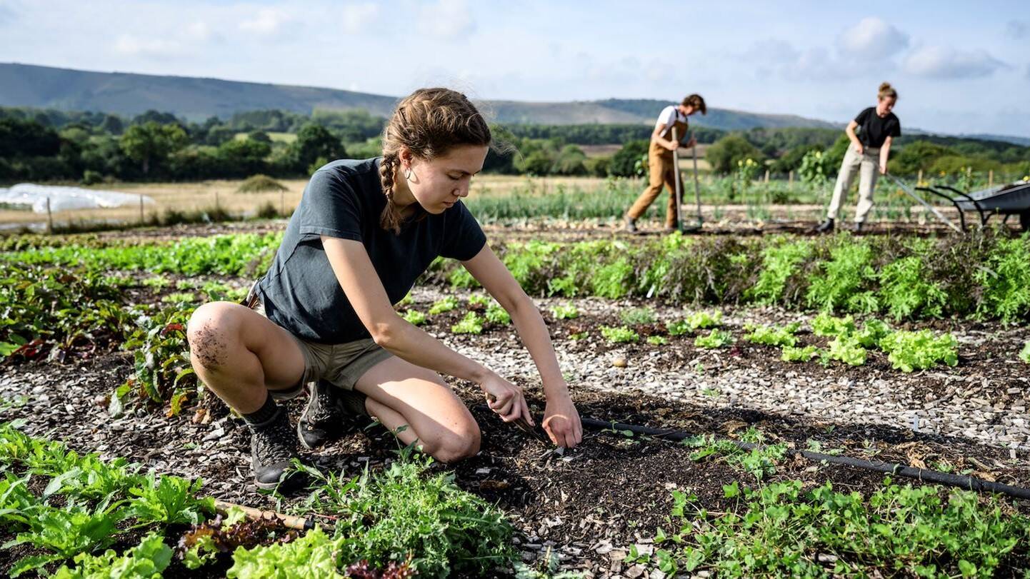 Agricultura-regenerativa.jpg