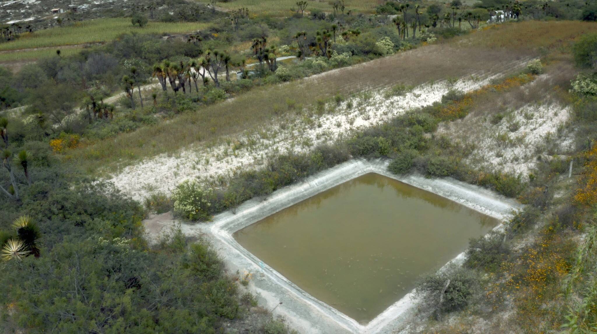 agua-para-siempre-mexico-1.jpg