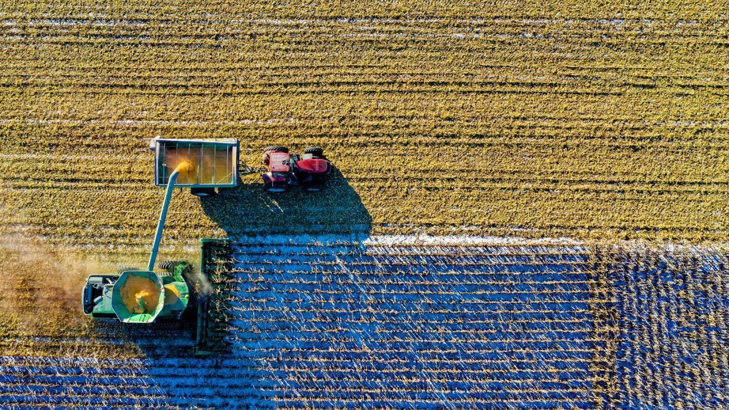 Alimentos-sustentables.jpg