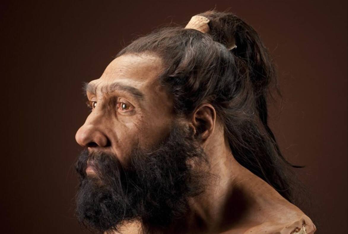 amadridejos14818068-homo-neanderthalensis-adult-male-reconstruction-160411120930-1460369518427.jpg