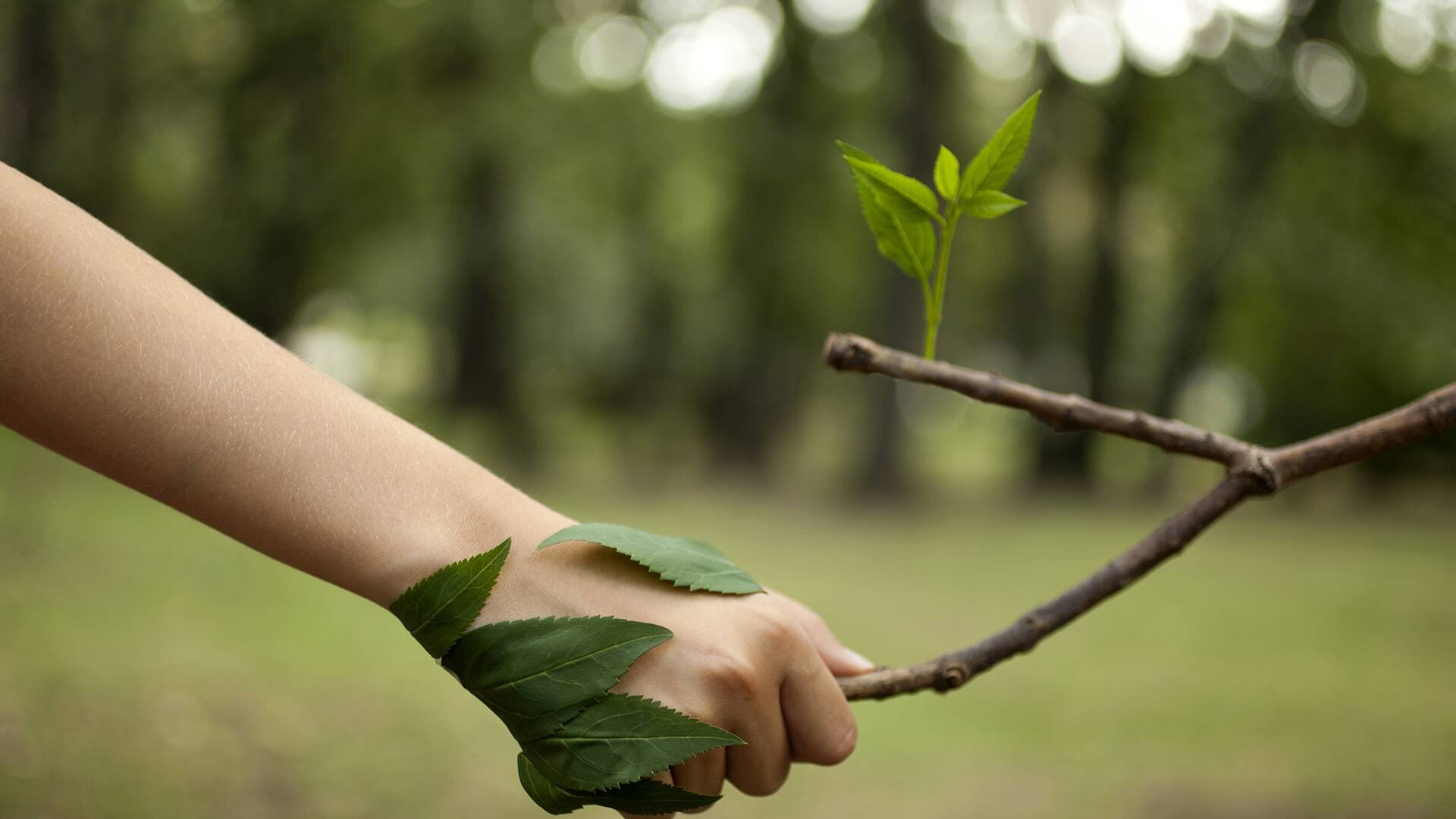 amor-por-la-naturaleza1.jpg