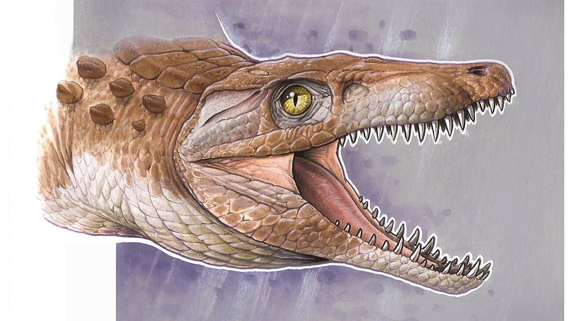 Aspecto-en-vida-de-Burkesuchus-mallingrandensis-Aspecto-en-vida-de-Burkesuchus-mallingrandensis-Ilustración-Gabriel-Lio.-1.jpg