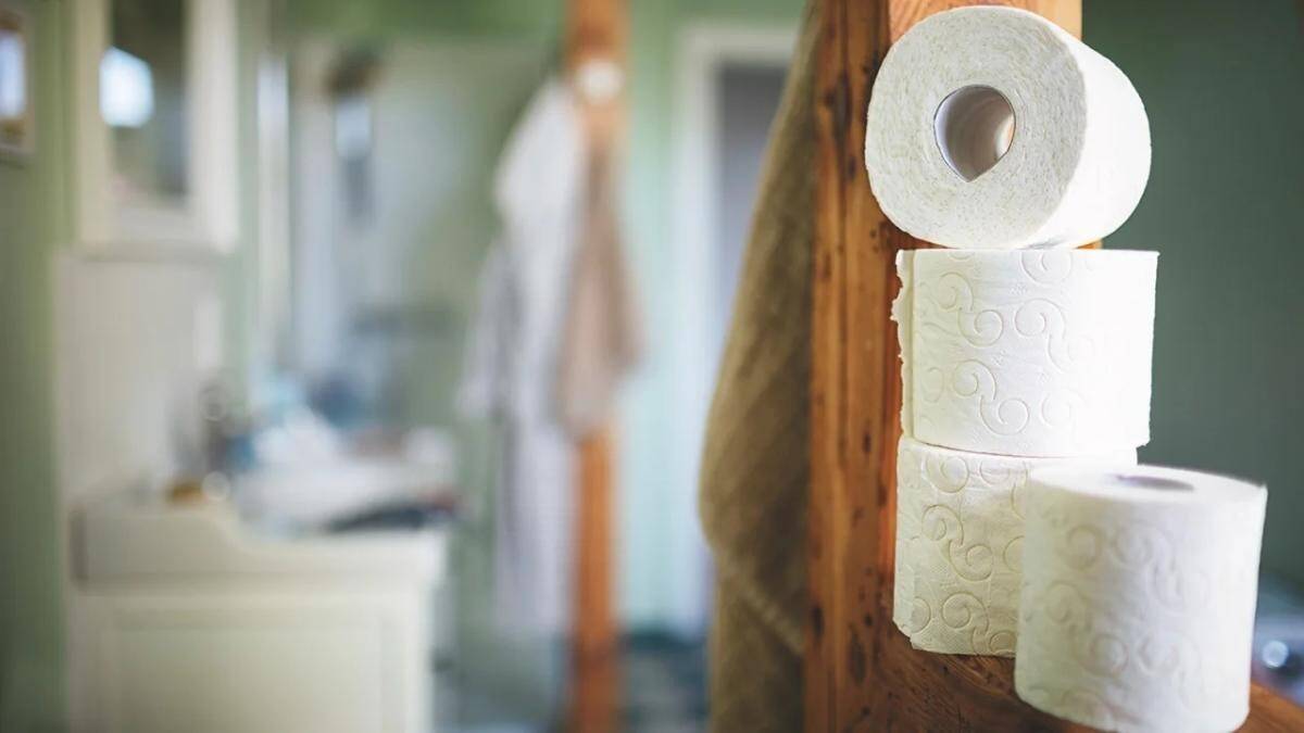 baño-papel-higiénico.jpg