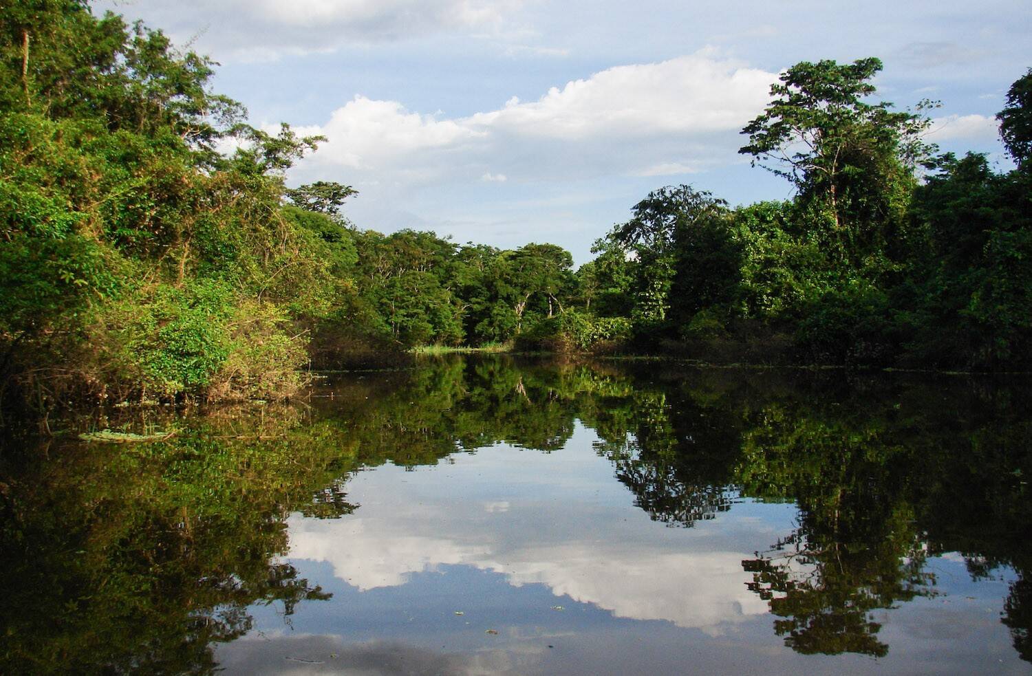 bosques-carbono-areas_naturales_protegidas-cambio_climatico-amazonia-colombia-5.jpg