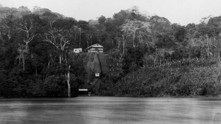 Canal-de-panama-megaflora.jpg