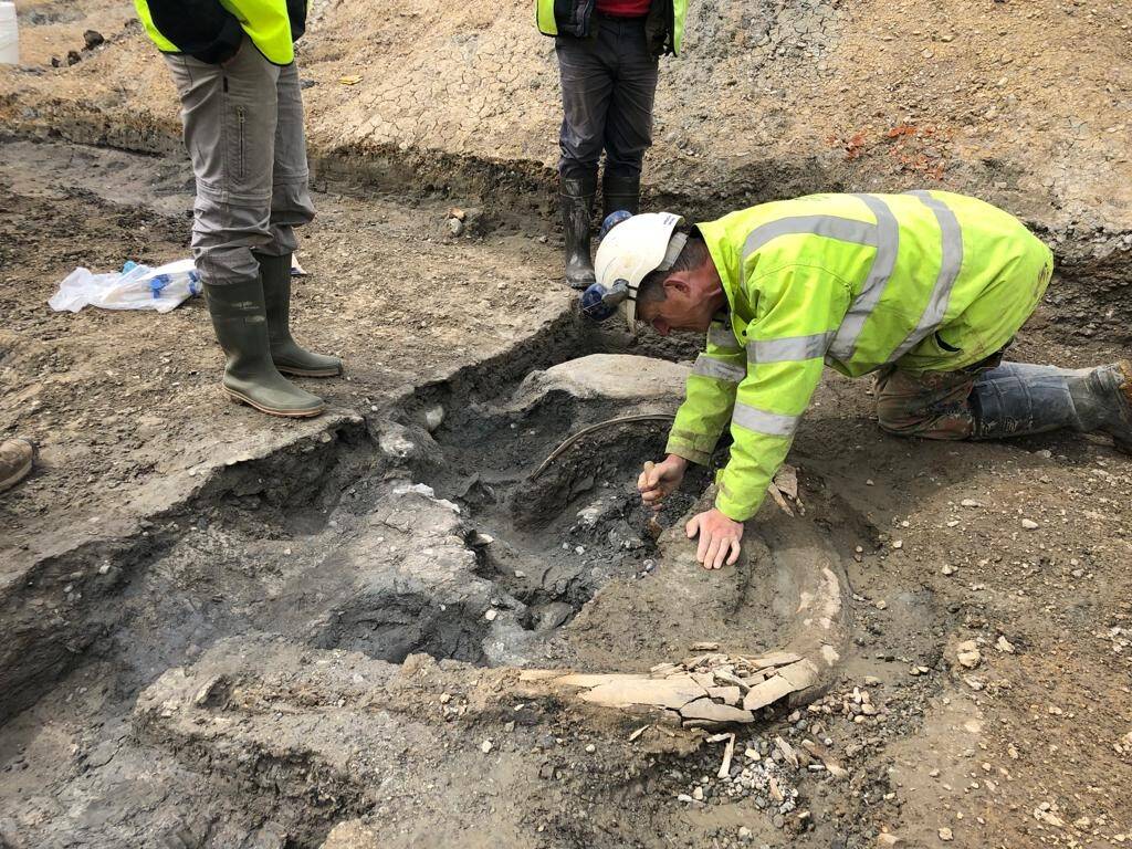 CER19-FIELD-2-Archaeologist-excavates-mammoth-tusk-Credit-DigVentures.jpeg