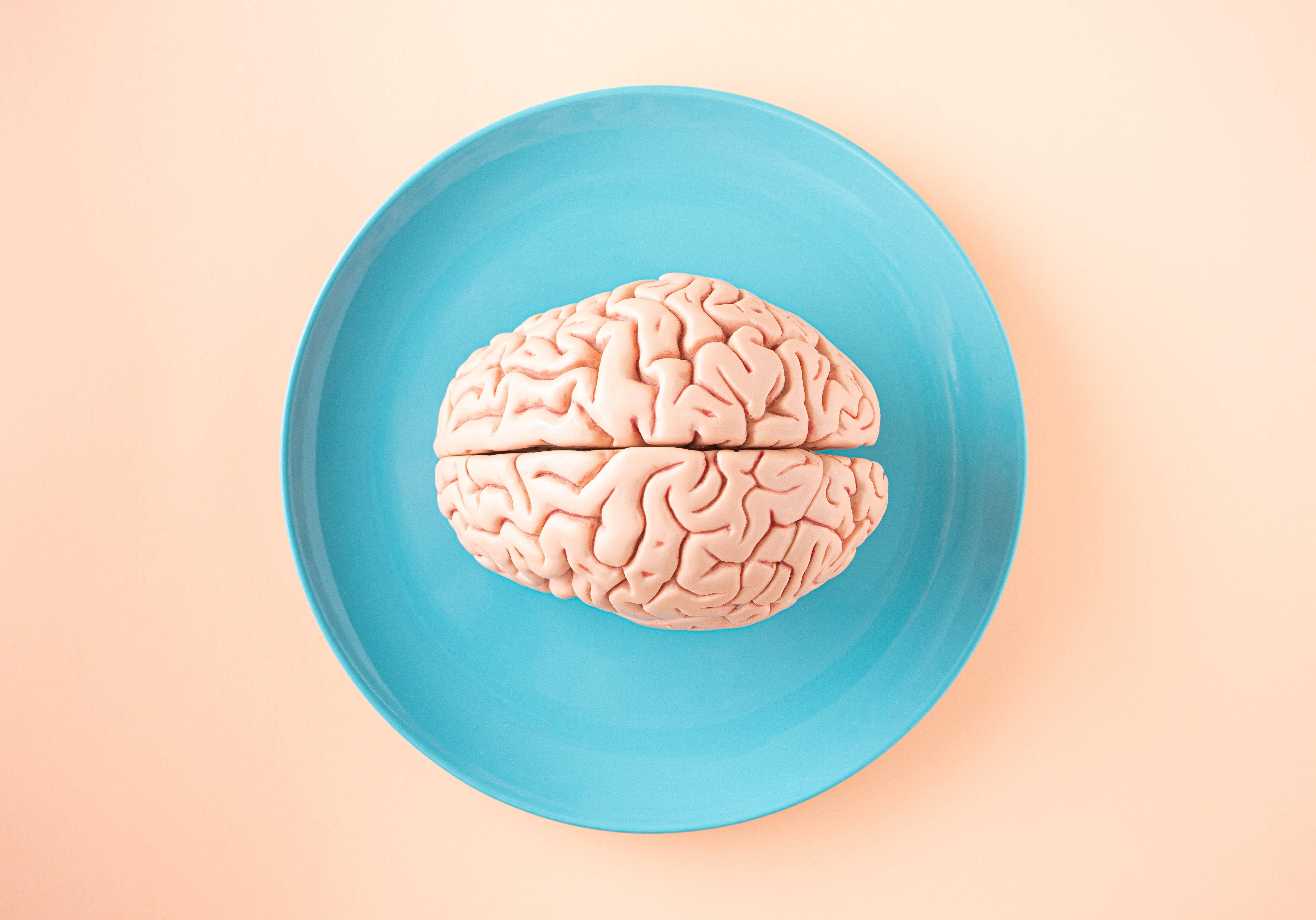 cerebro-2-1.jpg