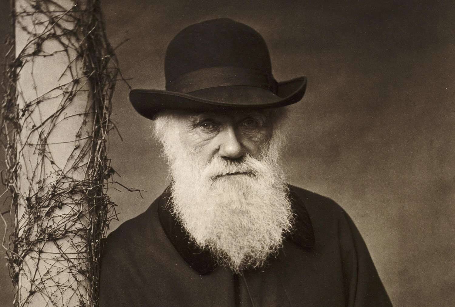 Charles-Darwin-3000-3x2gty-58b9982e5f9b58af5c6a277f.jpg