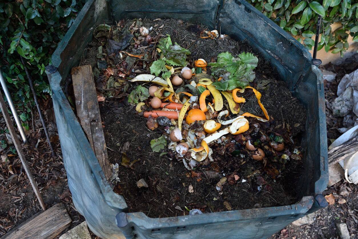 composting-container-istock-curtoicurto.jpg