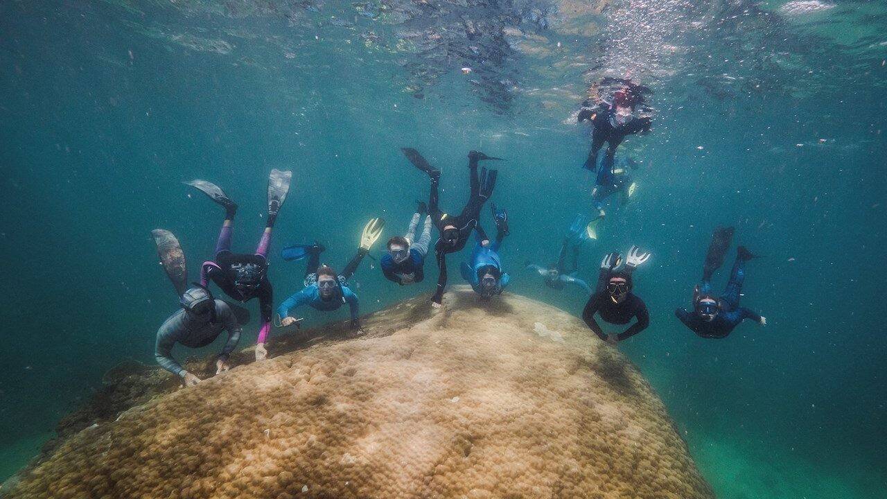 CORAL-AUSTRALIA-1280x720.jpg