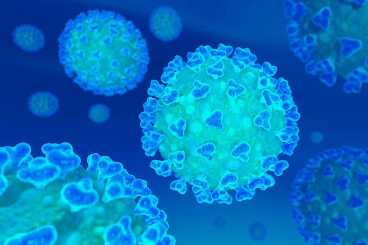 coronavirus.jpg