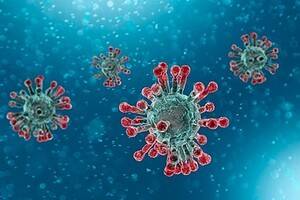 coronavirus.jpg