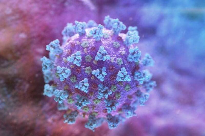 Coronavirus_800x533_L_1606142678.jpg