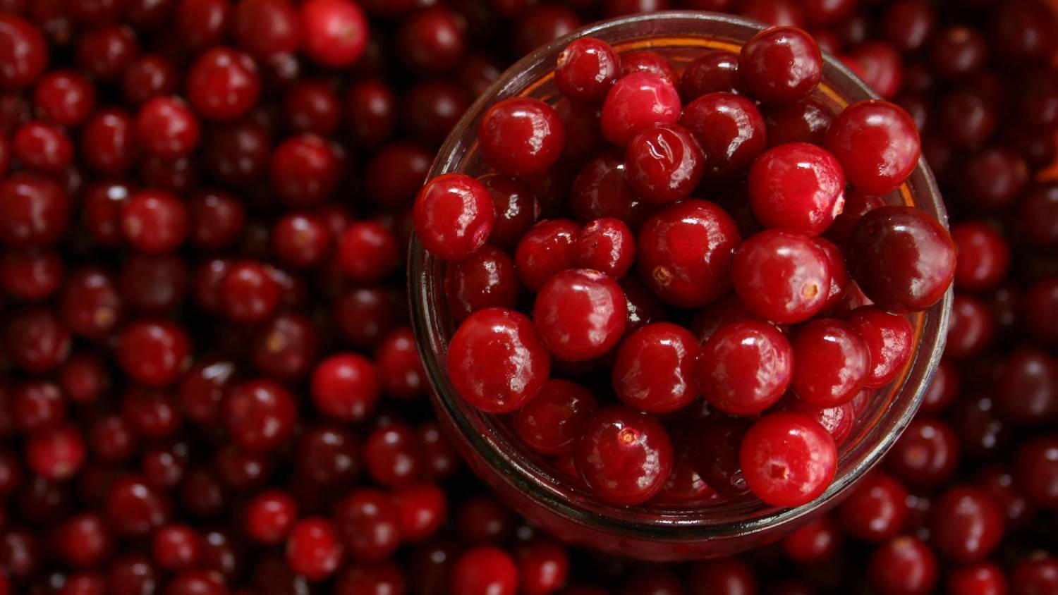 cranberries.jpg