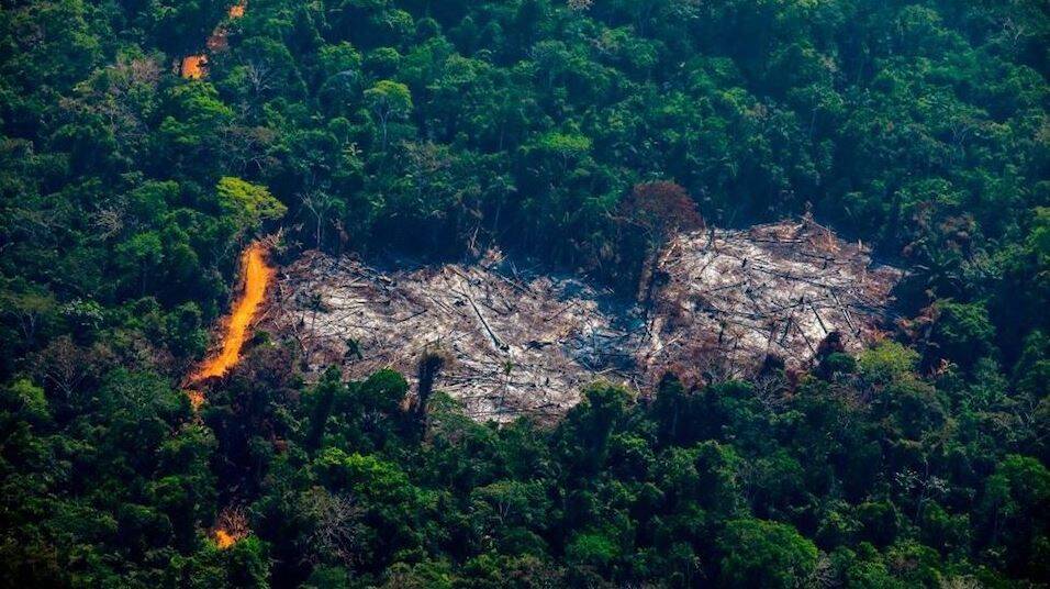 Deforestación-selva-Amazonía-Brasil-CNN-.jpg