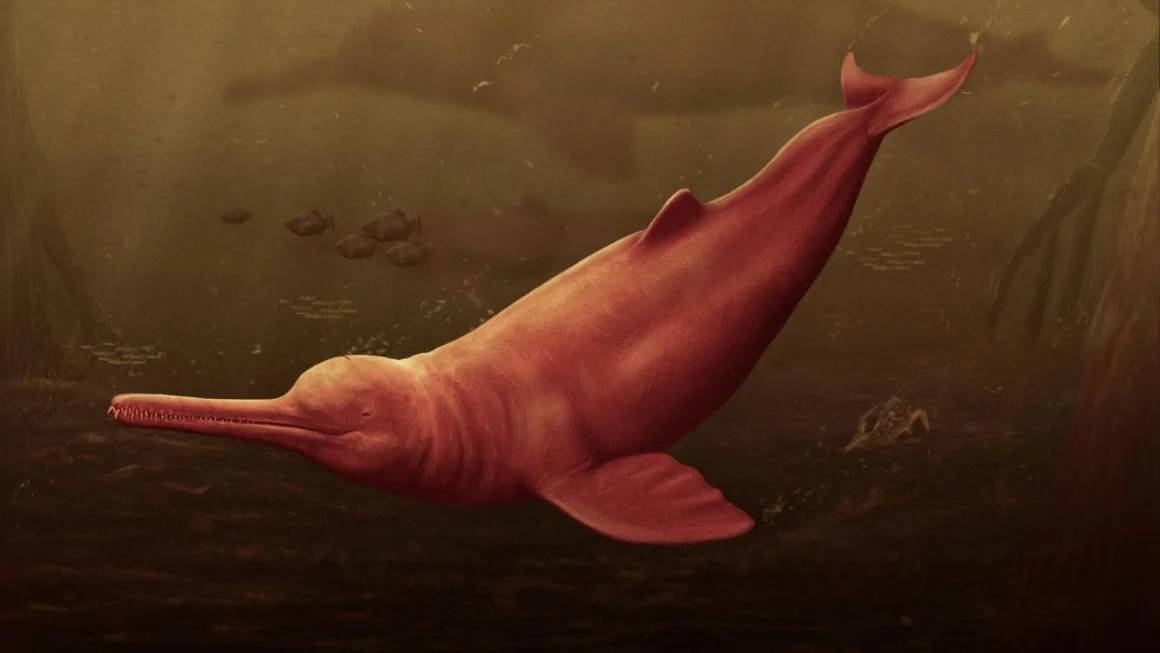 Delfin-de-agua-dulce-gigante.jpg