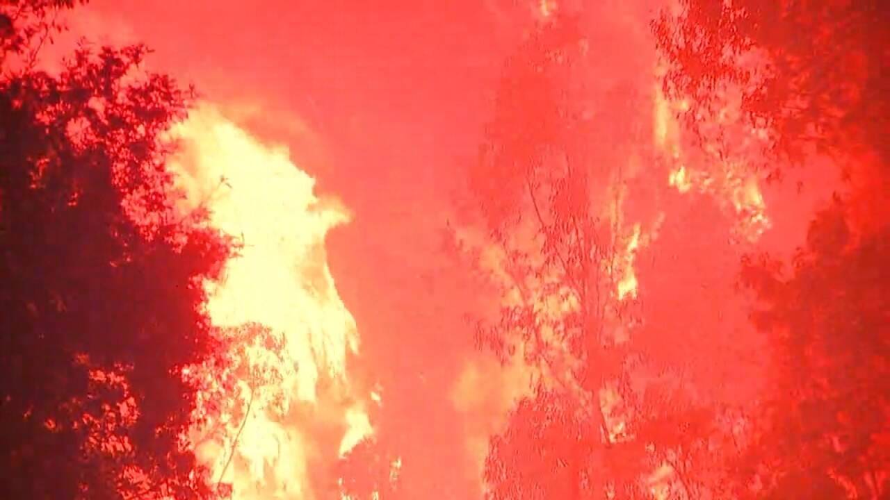 DESAFIO-TIERRA-CAP-7_001-Incendios001.jpg