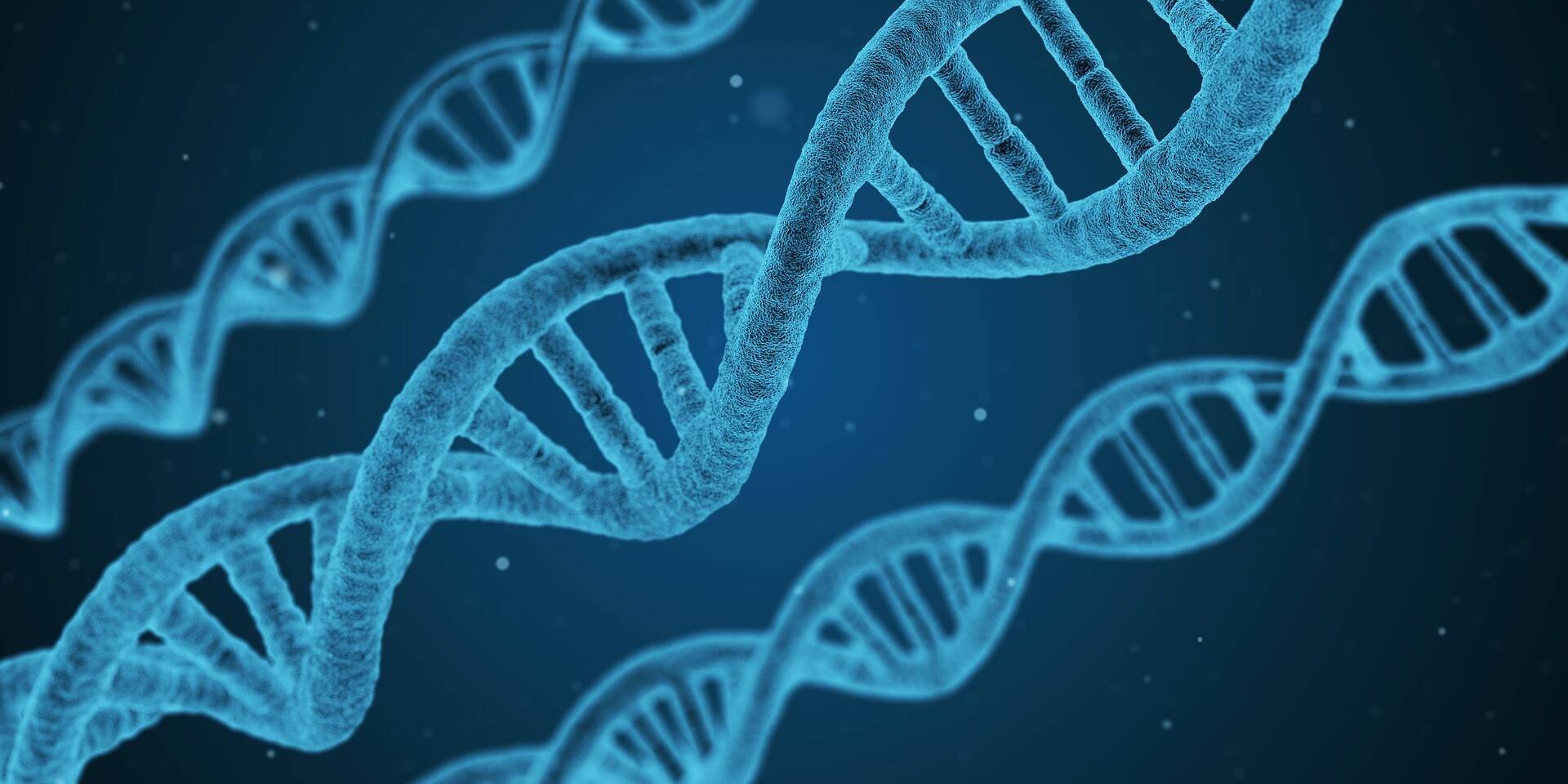 dna-ga226ff83c_1920.jpg