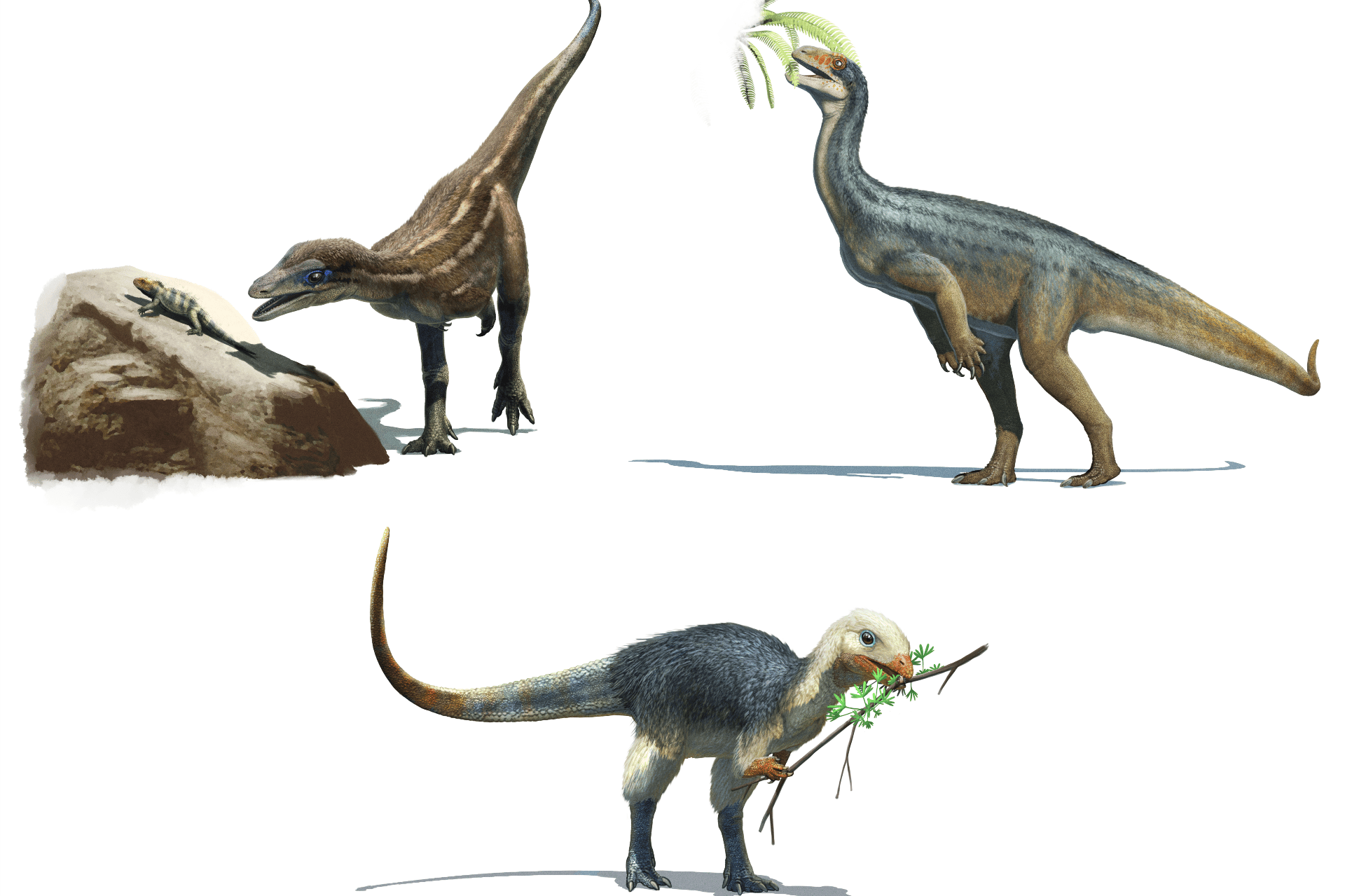 Early-dinosaur-diets-by-Gabriel-Ugueto-article.png