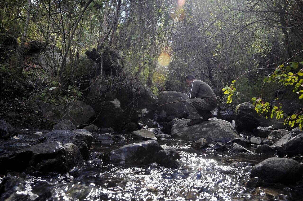 El-parque-nacional-La-Campana.jpg