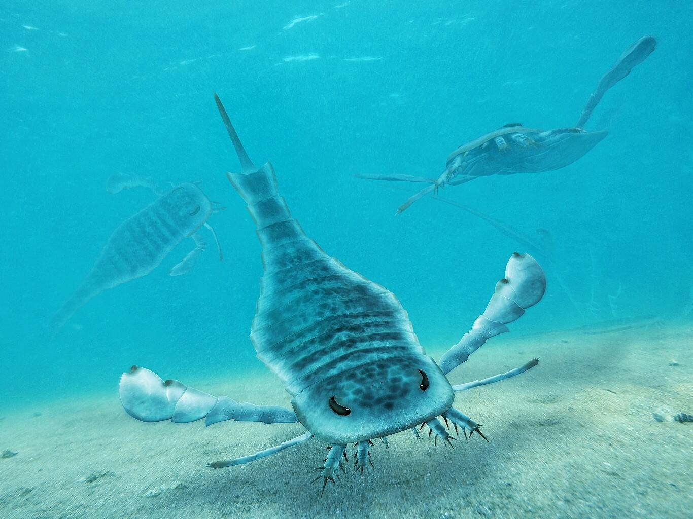 Eurypterus_Paleoart.jpg