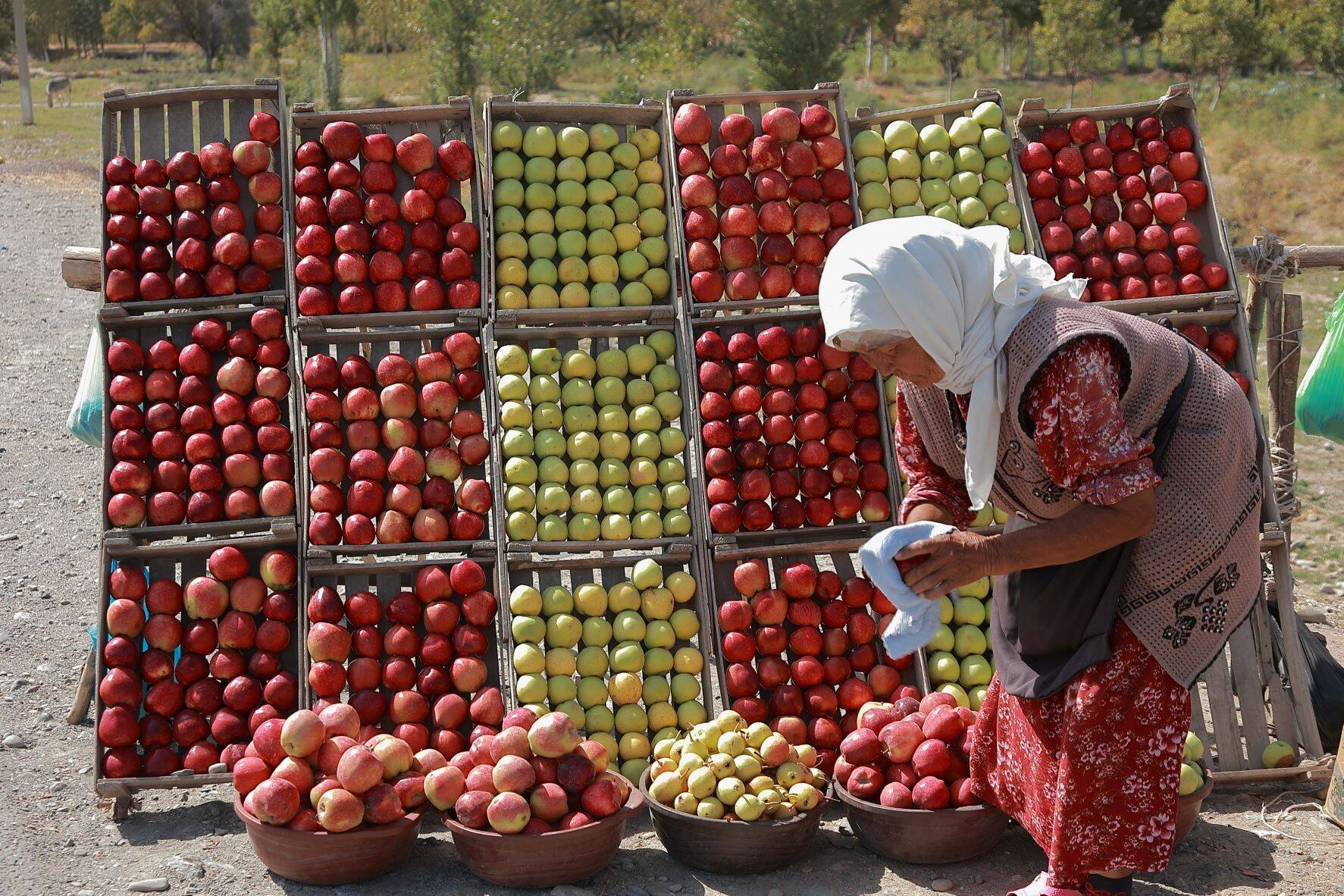 fao-uzbekistan.jpeg