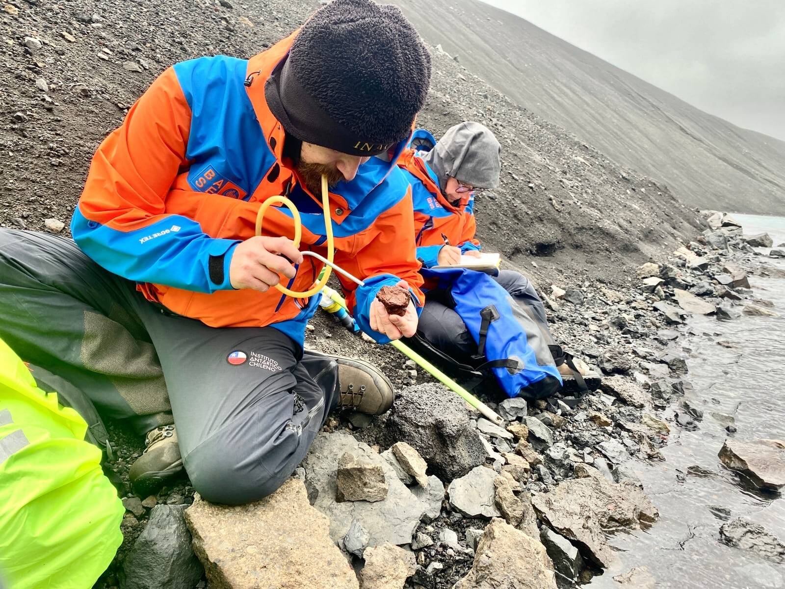 FOTO-1-Monitorean-invertebrados-en-Antartica-1.jpeg