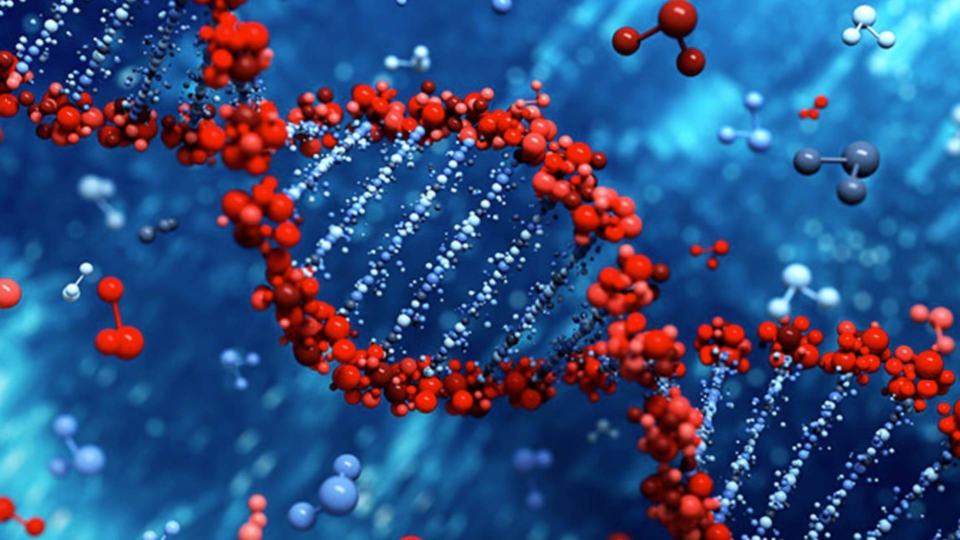 Genes-Alzheimer.jpg
