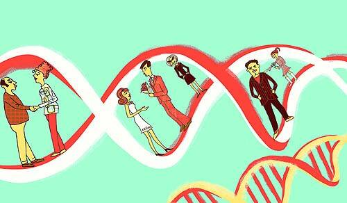 geneticdating.jpg