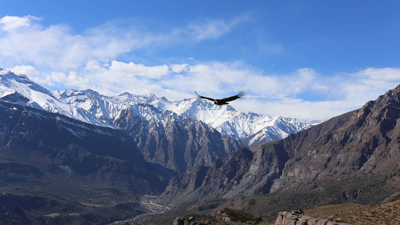 glaciares-de-santiago-science.jpg