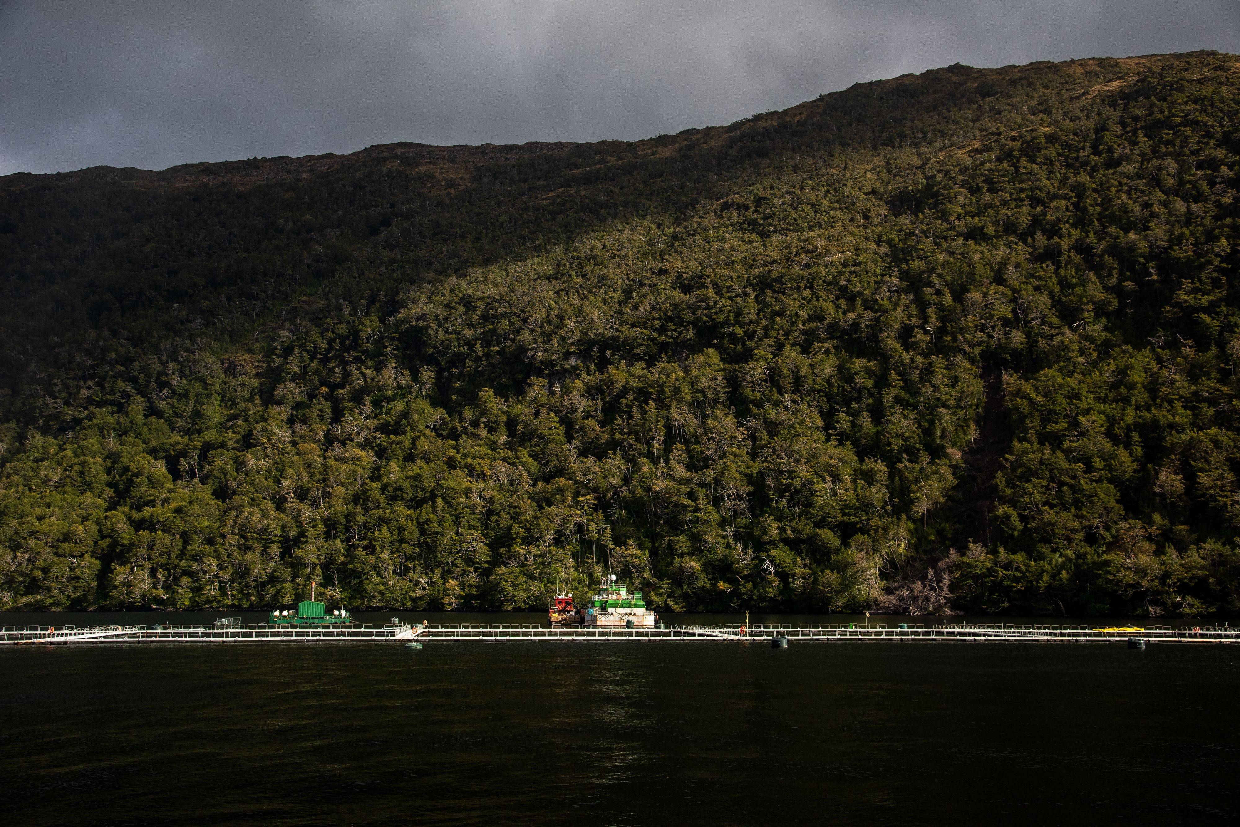 gpch-Salmonera-Aqua-Chile-Montt-Natales-Crédito-Cristóbal-Olivares-Greenpeace-9-1.jpg