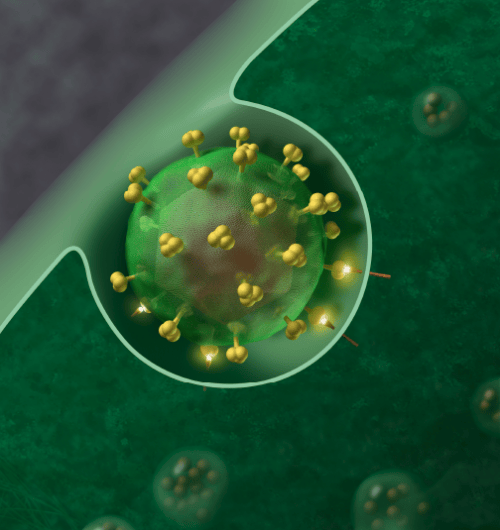 hiv1.png