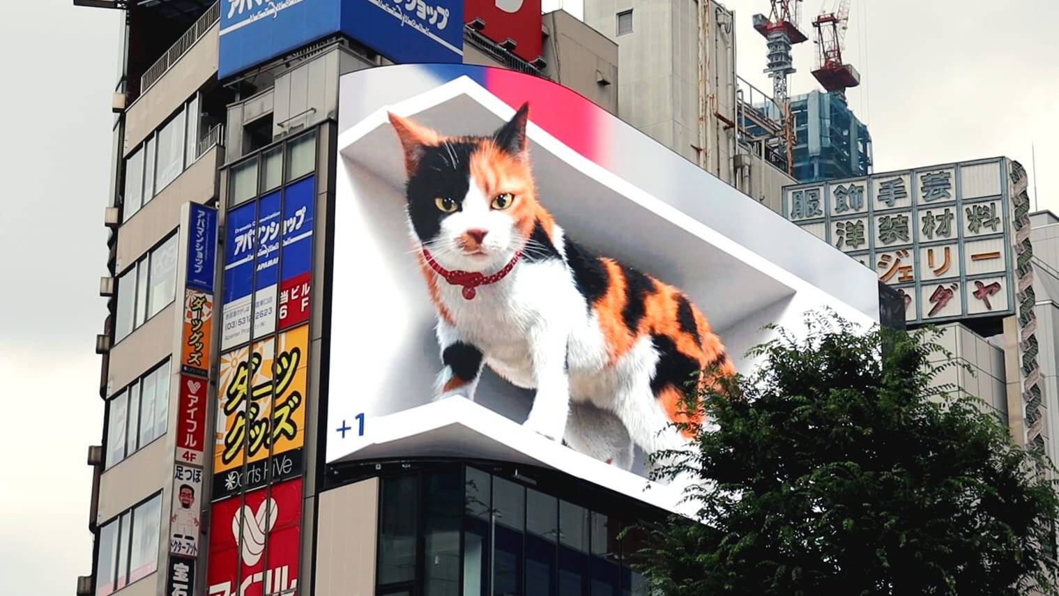 http___cdn.cnn_.com_cnnnext_dam_assets_210706210012-3d-cat-billboard-tokyo.jpg