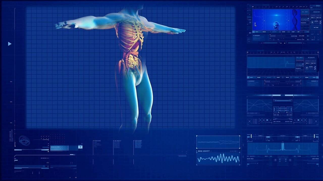 human-digestive-system-gbcf39c320_1280.jpg