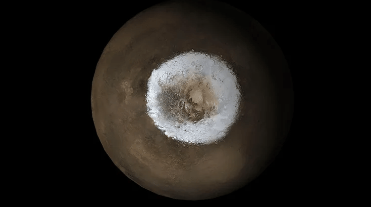 image-4.png