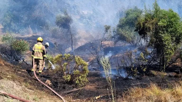 Incendio-Forestal-Valparaiso-768x432.jpg