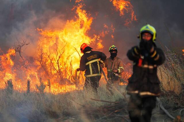 incendios-forestales.jpg