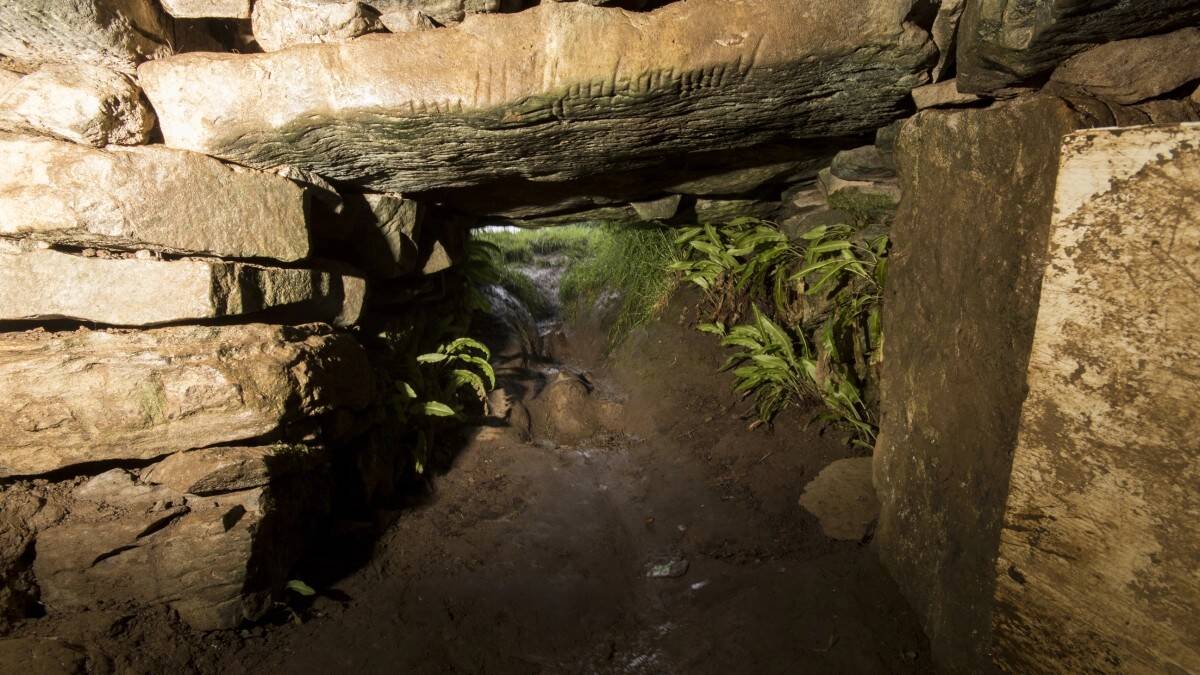 La-Cueva-del-Gato-Halloween.jpg