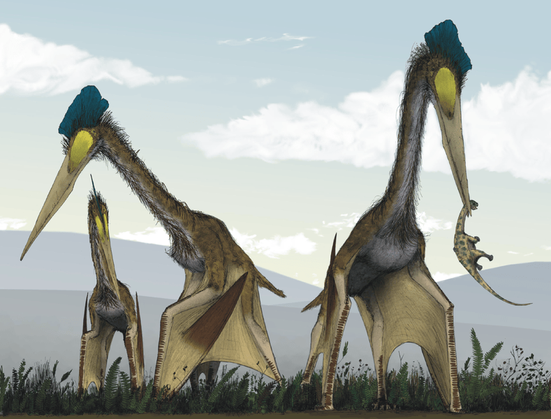 Life_restoration_of_a_group_of_giant_azhdarchids_Quetzalcoatlus_northropi_foraging_on_a_Cretaceous_fern_prairie.png