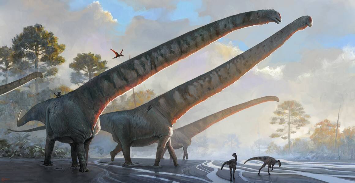 mamenchisaurus-sinocanadorum-artwork-full-width.jpg.thumb_.1160.1160.jpg