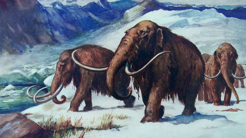 Mamut.jpg